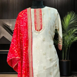 Elegant ethnic wear salwar kameez with embroidery work