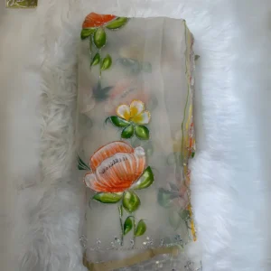 Elegant Glass Tissue Saree with Hand-Paint & Sequin Work
