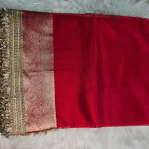 Red Maharani Glass Organza Tissue Saree with Zari Lace Border