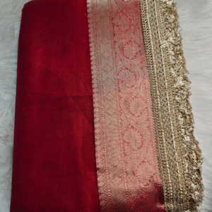 Mehroon Organza Tissue Saree with Elegant Zari Border