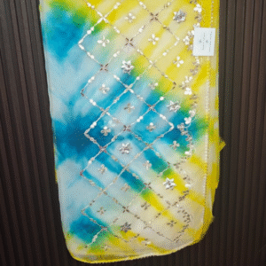 Soft Ombre Organza Silk Saree with Gota Patti Work